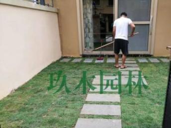 圖 園林綠化工程設計施工 草坪樹花枝種植 養護修剪,來電優惠 廣州鮮花綠植