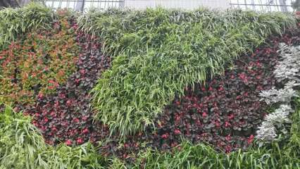 南京屋頂花園|南京立體綠化|南京園林綠化|南京園林工程|南京園林綠化施工|南京松翠園林建設(shè)