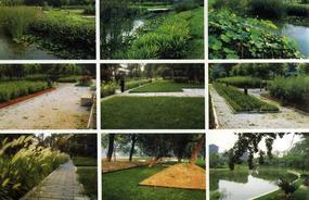 各種綠化、景觀鋪裝工程的設計與施工,園林綠化工程的養(yǎng)護;園林綠化苗木、草皮、花卉的種植,銷售(廣西南寧)_CO土木在線