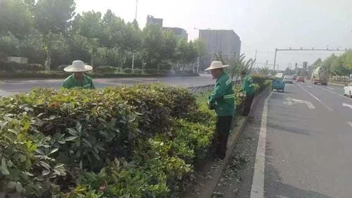 區(qū)園林綠化維護中心 天心區(qū)政府門戶網站