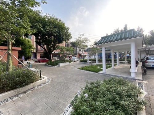 厚街鎮(zhèn)積極推進園林綠化品質(zhì)提升工程，5個口袋公園建成落地