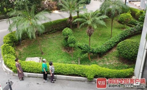 南寧綠化工人五年匠心打造動物世界主題園林，綠色藝術(shù)驚艷全城